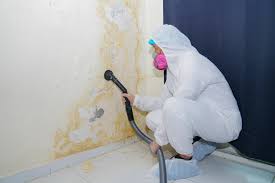 Best Industrial Mold Remediation  in New Knoxville, OH